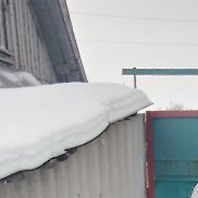 ���������, 41 ���, ����