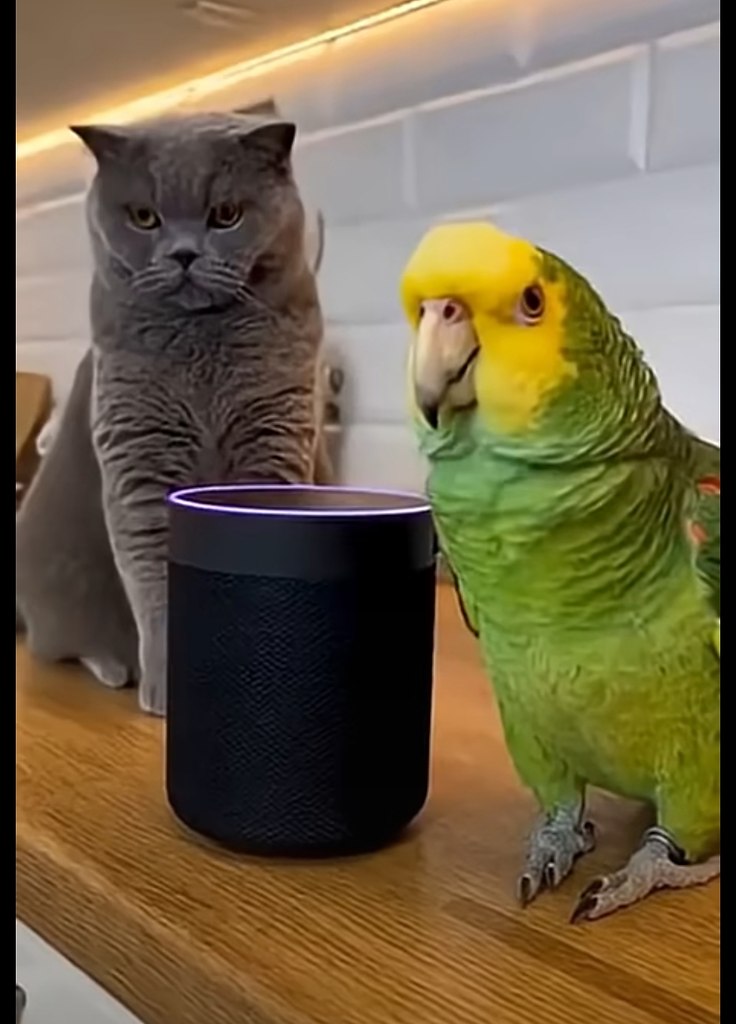 ��� � ���� �������? � ��������� ��� ������� ������ ����, �� ����� �������, �������� � �������� ... - 2