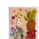 ���� Svetlozar, �����, 45 ��� - ��������� 1 ������� 2025 � ������ ����� �� ����