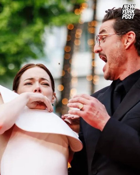 НА ЭММУ СТОУН НАПАЛА ПЧЕЛА ПРЯМО ВО ВРЕМЯ КАННСКОГО КИНОФЕСТИВАЛЯ! Эмма Стоун старательно позировала ... - 5