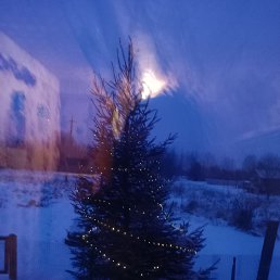 ���� �����, ����������-���������, 43 ���� - ��������� 18 ������ 2026