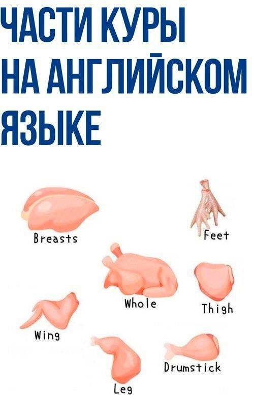 ���������� � ����������, ����� �� �������� ������� ������ 