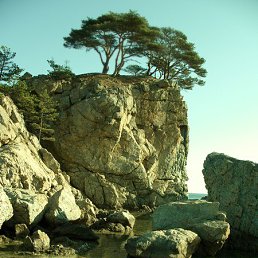 ���� ���, �����������, 55 ��� - ��������� 5 ������ 2023