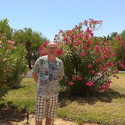 ������, ��������, 51 ���