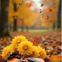 ���� ������, ������������� - ��������� 20 ������� 2025 � ������ ������ ��������