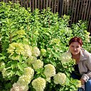 ���� Elena, ������, 55 ��� - ��������� 15 ������ 2026 � ������ ���� ����������