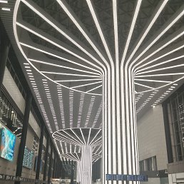 ���� ��������, �������, 52 ���� - ��������� 22 ������ 2025