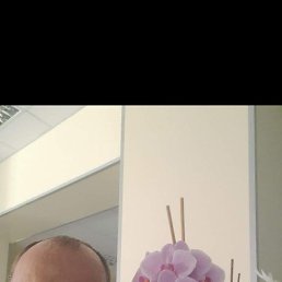 , 56, -