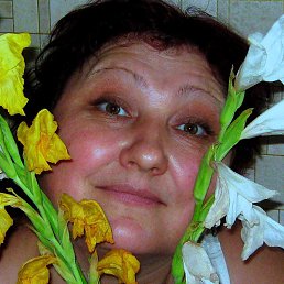 ������, ������, 60 ���