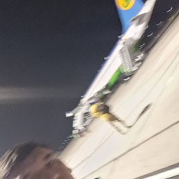 ����, ������, 41 ���