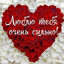 ���� �����, ����������� - ��������� 10 ����� 2026 � ������ ���� ����������
