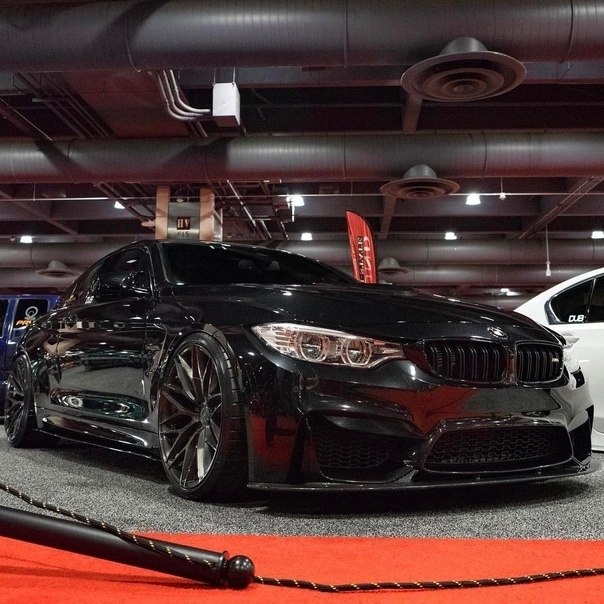 BMW F82 M4. BMW - 4