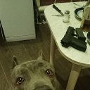���� ������, ������, 36 ��� - ��������� 18 ���� 2025 � ������ ���� ����������