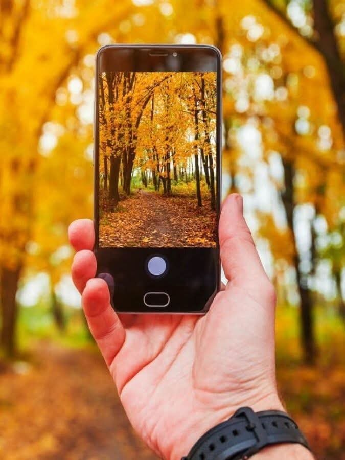  ,  ,    -.  !     ...