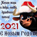 ���� ������, ����������, 48 ��� - ��������� 8 ������ 2024 � ������ ���� ����������