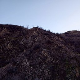 �����, ������, 52 ����