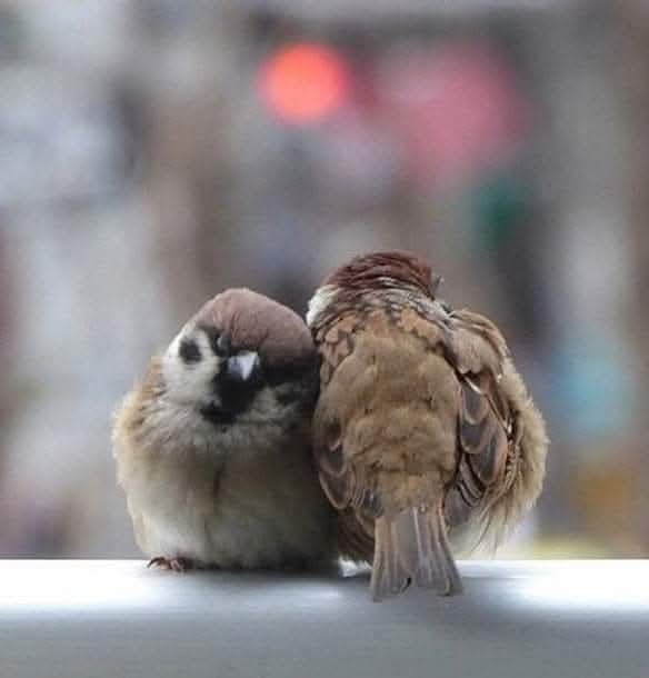 "�� ������ ���������� ��� ������ ���������.������ ...