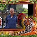 ���� �������, �������, 68 ��� - ��������� 6 ����� 2024 � ������ ���� ����������