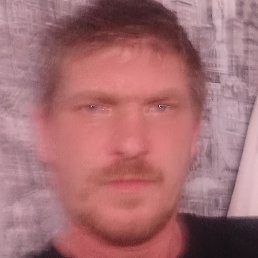 �����, ��������, 37 ���