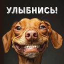 ���� �����, ������, 51 ��� - ��������� 16 ���� 2025