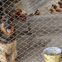 ���� Viktor, ������������, 73 ���� - ��������� 6 ������ 2024