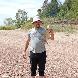 ������, 41 ���, �������