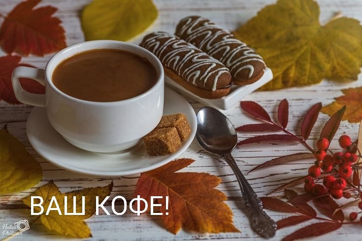 ПРИВЕТСТВИЯ и ПОЖЕЛАНИЯ, открытки на каждый день. - 26 октября 2025 в 22:50