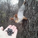 ���� �����, ����, 67 ��� - ��������� 3 ������ 2024 � ������ �������