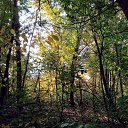���� �����, ����, 25 ��� - ��������� 5 ������ 2024 � ������ ���� ����������