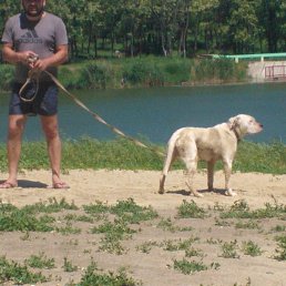 ����, ������-��-����, 43 ����