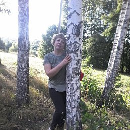 ����, ������, 54 ����