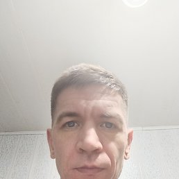 , 41, 