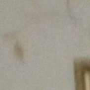 ��������, 40 ���, ������