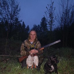 , 44, 