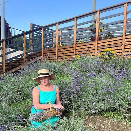 �������, ������, 48 ���