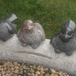 ���� ��������, ������, 64 ���� - ��������� 3 ������ 2024