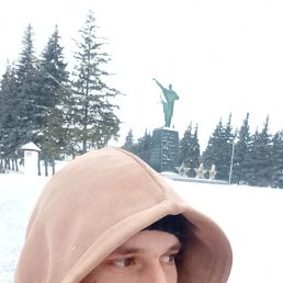 , 33 , 
