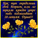 ���� �����, �����-��������� - ��������� 28 ���� 2026 � ������ ������ ��������