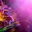 ���� �������, ������, 49 ��� - ��������� 6 ������� 2025 � ������ ���� ����������