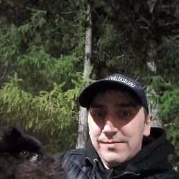 ���������, ���������, 44 ����