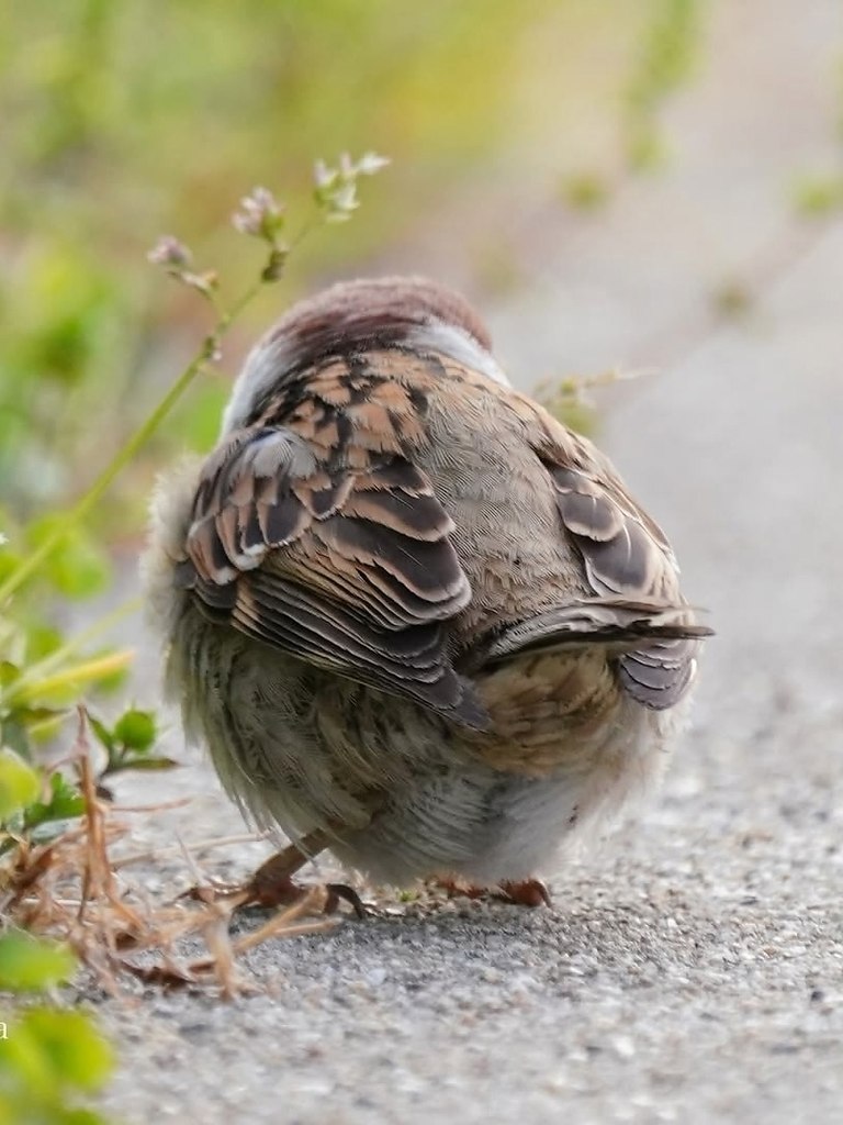 ,  !   ,     .  ... - 3