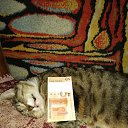 ���� ����, �����, 39 ��� - ��������� 27 ������ 2023 � ������ ���� ����������