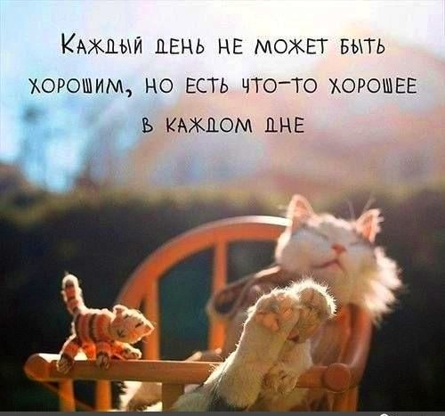   - 31  2024  21:42
