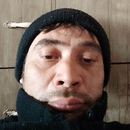 ������, ����������, 43 ����