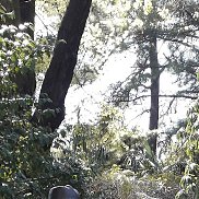 ����, 55 ���, �������