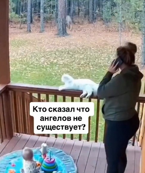 �e��, c��ec����� - 2