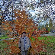 Лилия, 77 лет, Кемерово Лилия, 77 лет, Кемерово