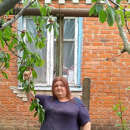 ���� ������, ���������, 43 ���� - ��������� 7 ����� 2026