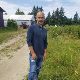 �����, 45 ���, �����������