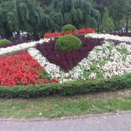 �����, �������, 63 ����